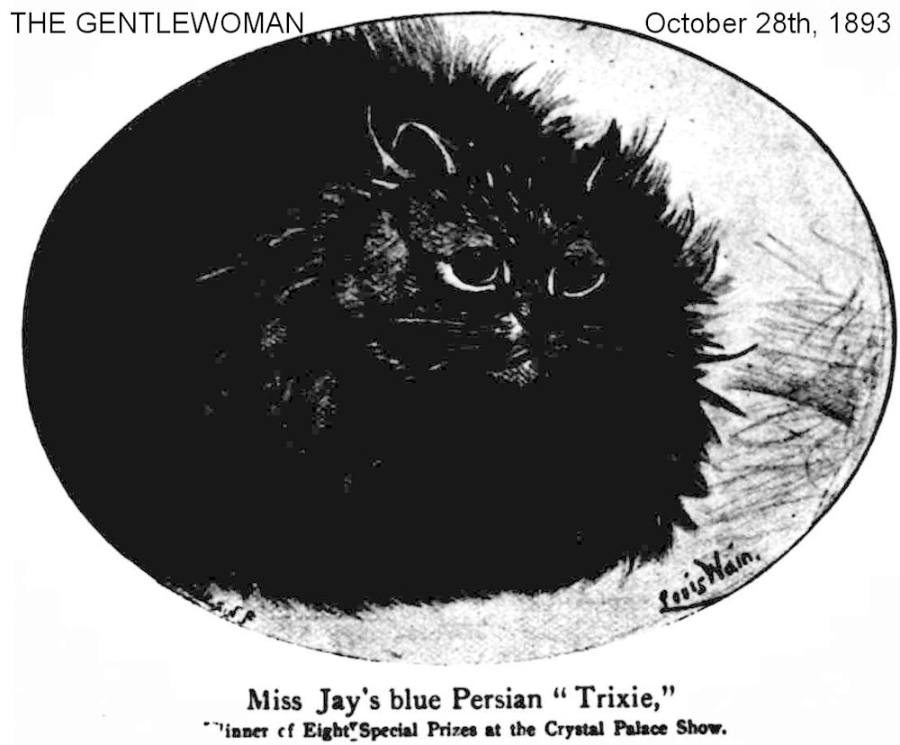 cat show