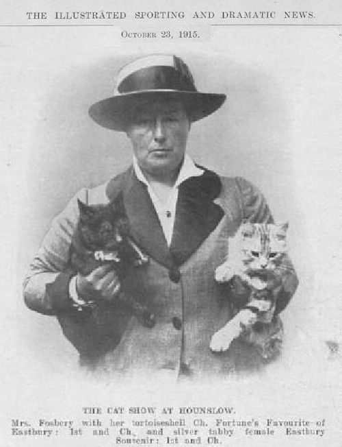 cat show