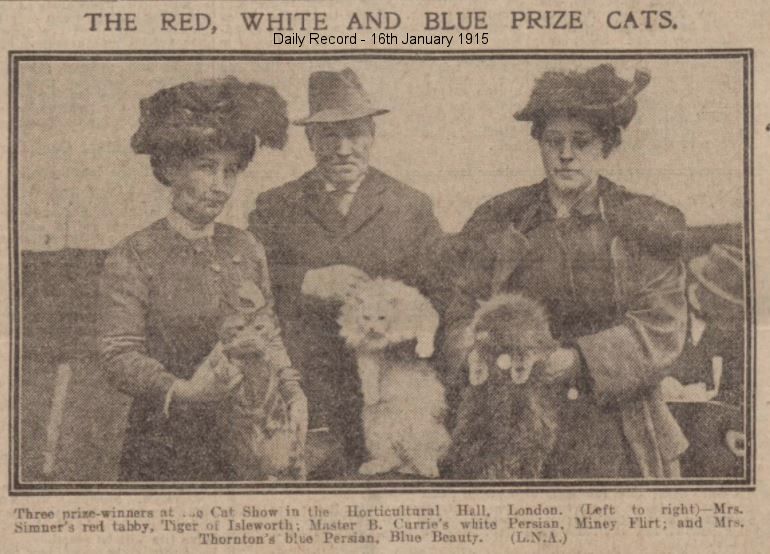 cat show